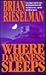 Where Darkness Sleeps by Brian Rieselman