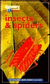 Discovery Channel: Insects & Spiders: An Explore Your World Handbook (Paperback)