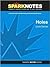 Holes (SparkNotes Literatur...