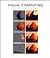 Visual Computing (Scientific American Library)