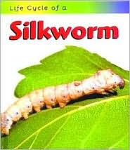 Life Cycle of a Silkworm (Paperback)