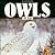 Owls for Kids