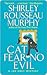 Cat Fear No Evil