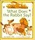 What Does the Rabbit Say?