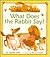 What Does the Rabbit Say?