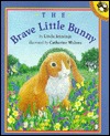 The Brave Little Bunny (Paperback)