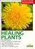 Healing Plants