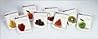 Fruit of the Spirit Bible Study Combination Pack Zcs