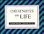Cheatnotes on Life: Lessons from the Classroom of Life