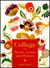 Collage from Seeds, Leaves and Flowers (Paperback)