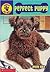 Perfect Puppy (Puppy Patrol...