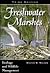 Freshwater Marshes: Ecology and Wildlife Management (Volume 1) (Wildlife Habitats)