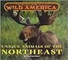Regional Wild America - Unique Animals of the Northeast