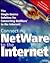 Connecting Netware to the I...
