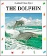 The Dolphin, Prince of the Waves (Animal Close-Ups)