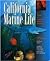 California Marine Life: A Guide to Marine Species