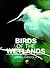 Birds of the Wetlands (Ap Natural World)