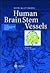 Human Brain Stem Vessels by H. M. Duvernoy J. L. Vannso...