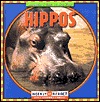 Hippos (Animals I See at the Zoo.)