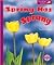 Spring Has Sprung (Spyglass...