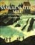 Samuel Slater's Mill and the Industrial Revolution (TURNING POINTS IN AMERICAN HISTORY)