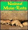 Naked Mole-Rats (Nature Watch)