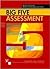 Big Five Assessment by Boele De Raad