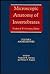 Microscopic Anatomy of Invertebrates, Aschelminthes (Volume 4)