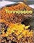 Tennessee (America the Beautiful Second Series)