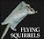 Flying Squirrels
