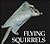 Flying Squirrels