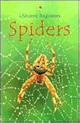Spiders (Usborne Beginners) by Rebecca Gilpin | Goodreads