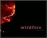 Wildfire