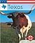 Texas