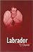 Labrador
