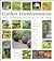 Garden Transformations: Designer Secrets and Tricks of the Trade