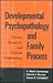 Developmental Psychopatholo...
