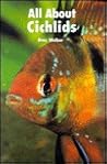 All About Cichlids All About Cichlids