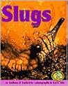 Slugs (Early Bird Nature)