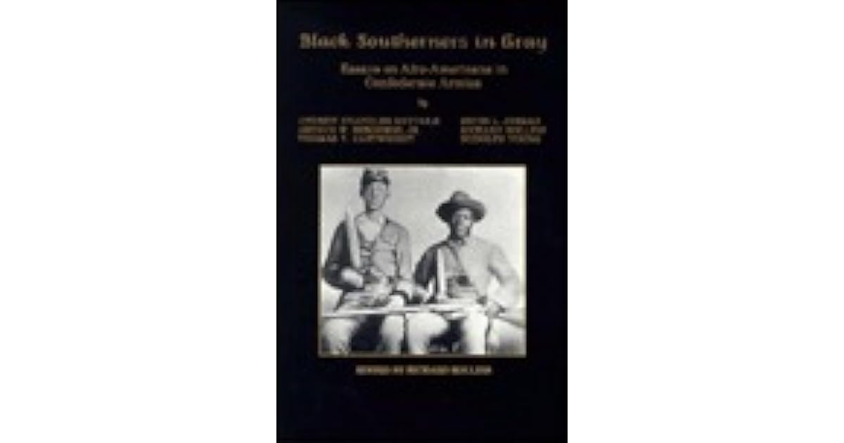 Black Southerners in Gray by Richard Rollins