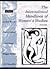 International Handbook of W...
