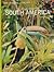 The Land and Wildlife of South America by Marston Bates