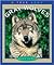 Gray Wolves (True Books: An...