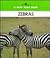 Zebras (A New True Book)