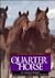 The Quarter Horse (Learning About Horses)