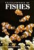Encyclopedia of Fishes by John R. Paxton