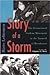 Story of a Storm: The Ecumenical Student Movement in the Turmoil of Revolution, 1968 to 1973 (Publications of the Finnish Society of Church History, No 174)