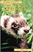 Pet Owner's Guide to the Ferret