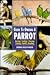 Guide to Owning a Parrot