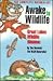 Awake to Wildlife